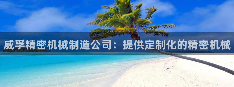 彩神v8iii：威孚精密机械制造公司：提供定制化的精密机械