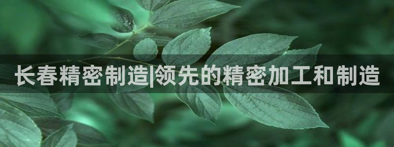 彩神vip购彩大厅在哪：长春精密制造|领先的精密加工和制造