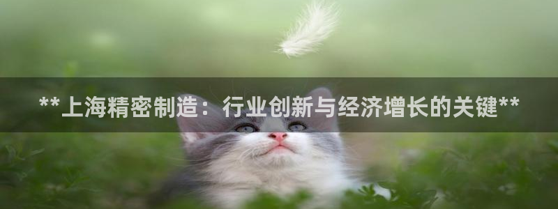 彩神8是正规平台吗是正品吗：**上海精密制造：行业创新与经济增长的关键**