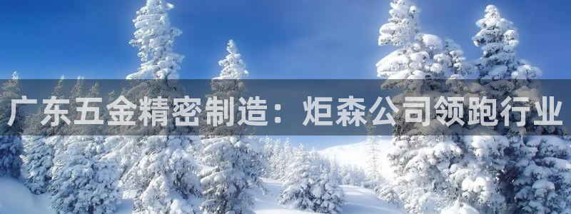 彩神vll官网-最新版app下载：广东五金精密制造：炬森公司领跑行业