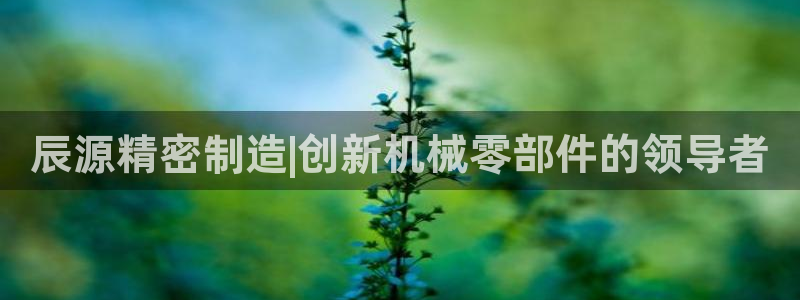 彩神平台：辰源精密制造|创新机械零部件的领导者
