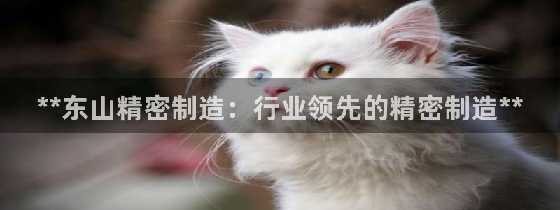 彩神可以提现吗：**东山精密制造：行业领先的精密制造**
