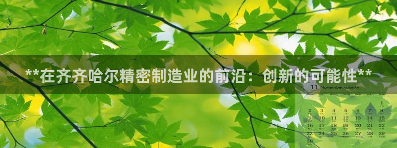 彩神天下专家专栏：**在齐齐哈尔精密制造业的前沿：创新的可能性**