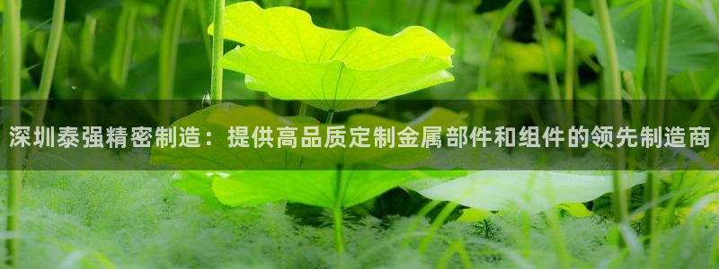 彩神v破解版：深圳泰强精密制造：提供高品质定制金属部件和组件的领先制造商
