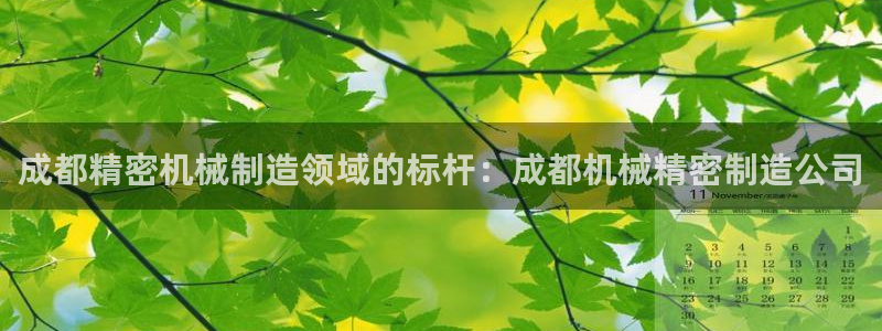 彩神ⅴll是什么样平台：成都精密机械制造领域的标杆：成都机械精密制造公司