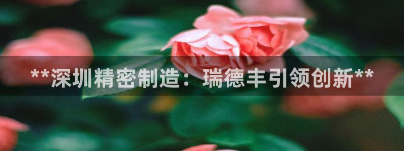 彩神v争霸有限公司：**深圳精密制造：瑞德丰引领创新**
