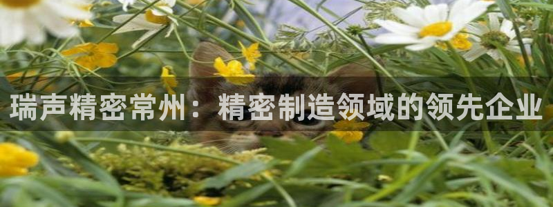 彩神v8app：瑞声精密常州：精密制造领域的领先企业