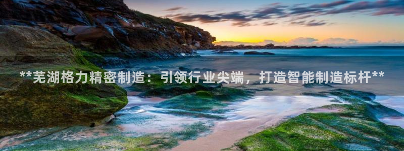 彩神网能赚钱是怎么回事：**芜湖格力精密制造：引领行业尖端，打造智能制造标杆**