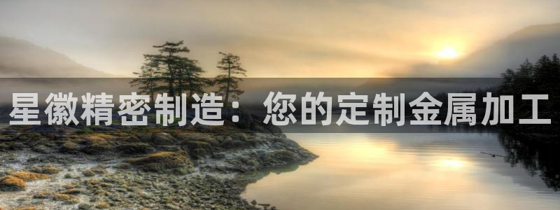 彩神v8手机客户端在哪：星徽精密制造：您的定制金属加工