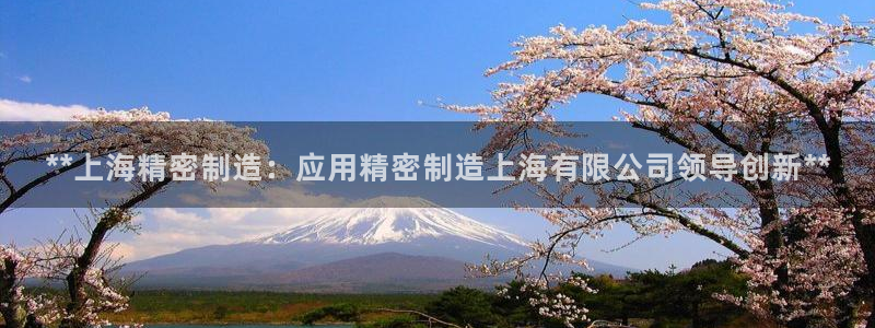 彩神客服电话：**上海精密制造：应用精密制造上海有限公司领导创新**