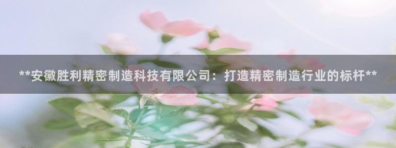 彩神争霸官方下载：**安徽胜利精密制造科技有限公司：打造精密制造行业的标杆**