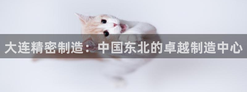 彩神xapp官方网站：大连精密制造：中国东北的卓越制造中心