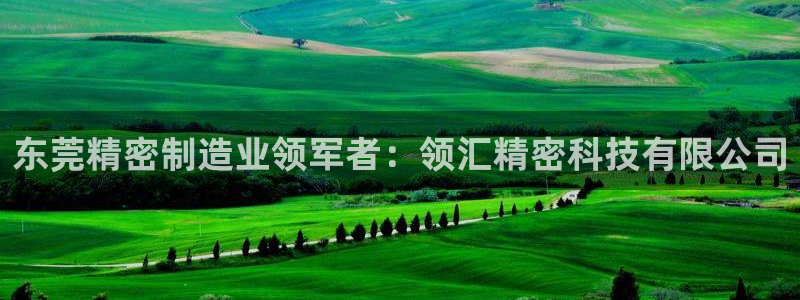 彩神通官网下载：东莞精密制造业领军者：领汇精密科技有限公司