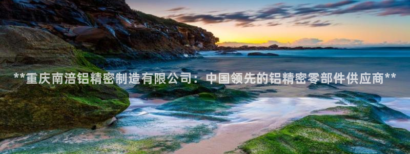 彩神购彩-购彩大厅入口下载：**重庆南涪铝精密制造有限公司：中国领先的铝精密零部件供应商**