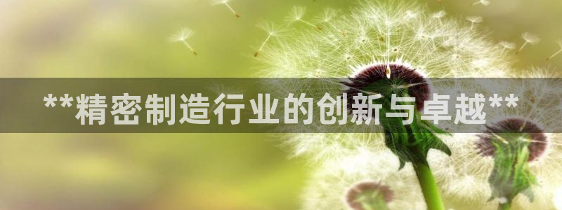 大发彩神官网下载：**精密制造行业的创新与卓越**