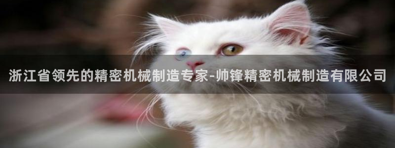 彩神vip购彩：浙江省领先的精密机械制造专家-帅锋精密机械制造有限公司