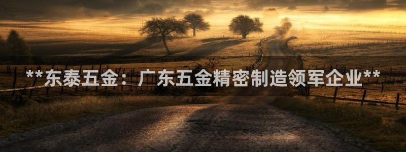 彩神ix平台：**东泰五金：广东五金精密制造领军企业**