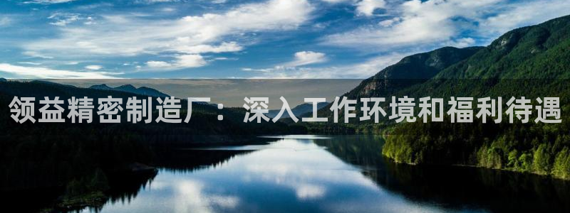 彩神ix官网：领益精密制造厂：深入工作环境和福利待遇