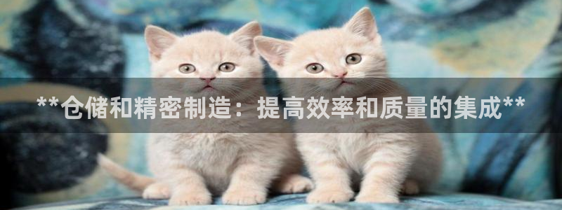 彩神v8官网版：**仓储和精密制造：提高效率和质量的集成**