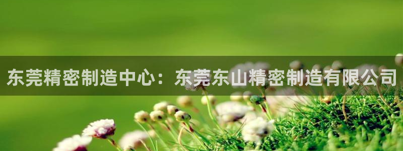 彩神vi争霸官网：东莞精密制造中心：东莞东山精密制造有限公司