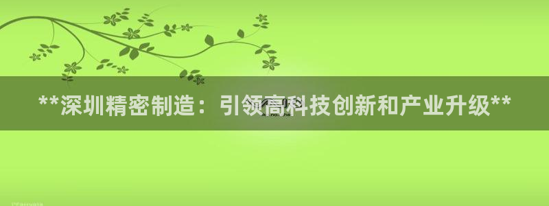 彩神平台之间是什么关系：**深圳精密制造：引领高科技创新和产业升级**