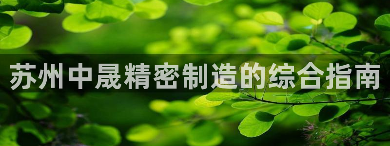 彩神广告有限公司：苏州中晟精密制造的综合指南