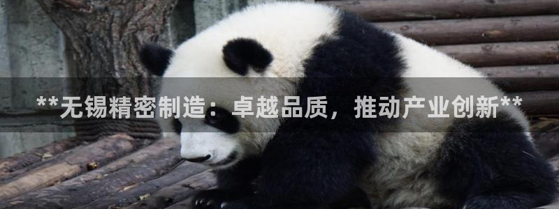 彩神vii手游下载：**无锡精密制造：卓越品质，推动产业创新**