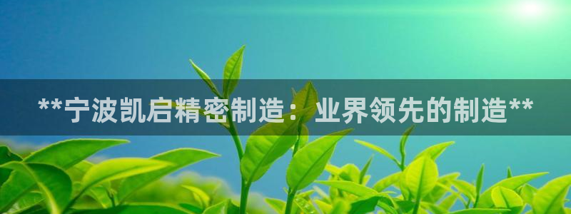 v大发彩神8iii：**宁波凯启精密制造：业界领先的制造**