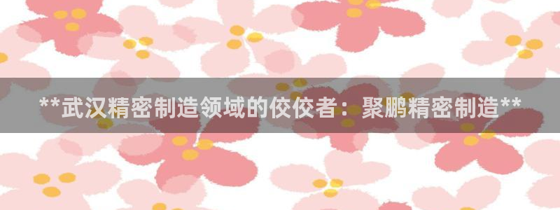 彩神v|：**武汉精密制造领域的佼佼者：聚鹏精密制造**