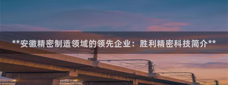 彩神v违法么：**安徽精密制造领域的领先企业：胜利精密科技简介**