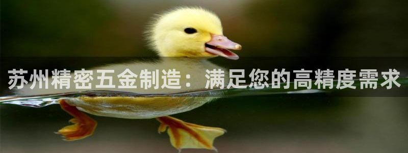 彩神v破解版：苏州精密五金制造：满足您的高精度需求