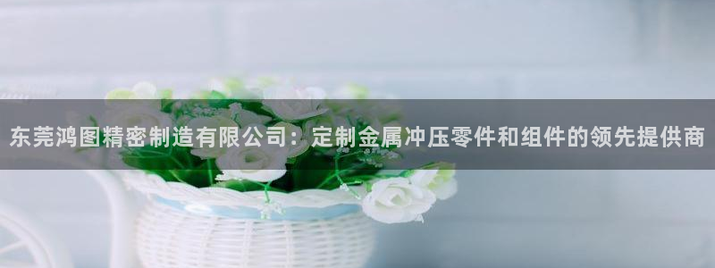 彩神旗下有哪些平台可以看：东莞鸿图精密制造有限公司：定制金属冲压零件和组件的领先提供商
