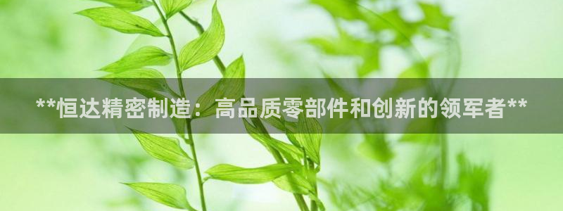 彩神赢的钱是哪里来的：**恒达精密制造：高品质零部件和创新的领军者**