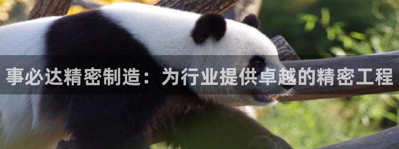 彩神x平台靠什么盈利：事必达精密制造：为行业提供卓越的精密工程