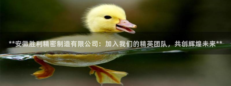 彩神vip购彩：**安徽胜利精密制造有限公司：加入我们的精英团队，共创辉煌未来**