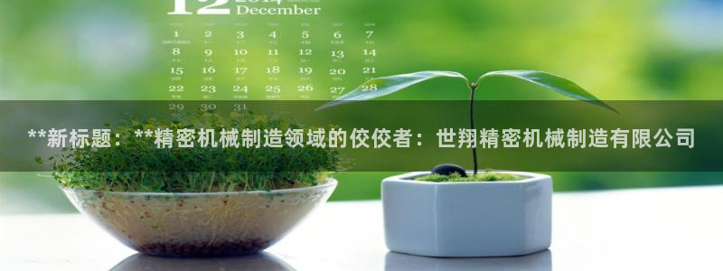 新版彩神v8登录不了：**新标题：**精密机械制造领域的佼佼者：世翔精密机械制造有限公司