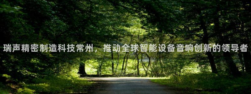 彩神iv争霸购彩大厅：瑞声精密制造科技常州，推动全球智能设备音响创新的领导者