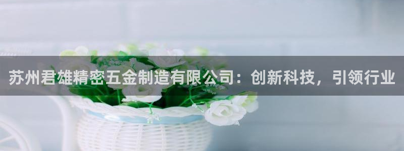 彩神v8是一个什么平台游戏：苏州君雄精密五金制造有限公司：创新科技，引领行业