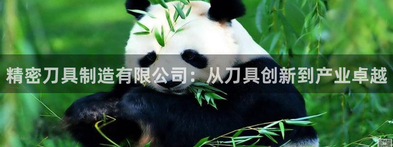 彩神vl购彩大厅：精密刀具制造有限公司：从刀具创新到产业卓越