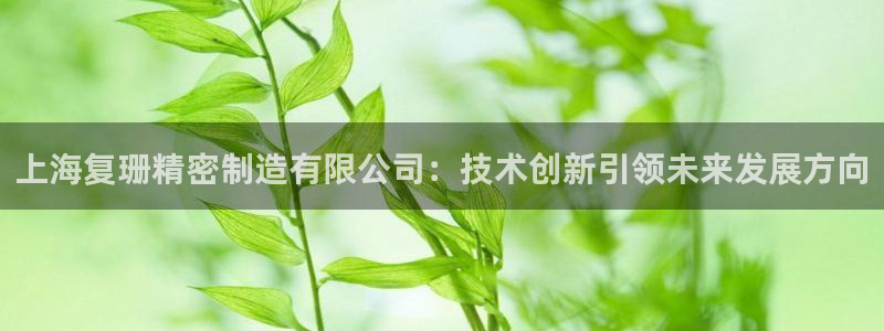 彩神v8下载网址：上海复珊精密制造有限公司：技术创新引领未来发展方向