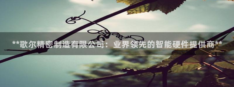 彩神vi官网版：**歌尔精密制造有限公司：业界领先的智能硬件提供商**