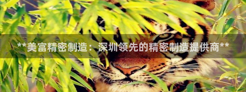 彩神赢了钱登录不上去：**美富精密制造：深圳领先的精密制造提供商**