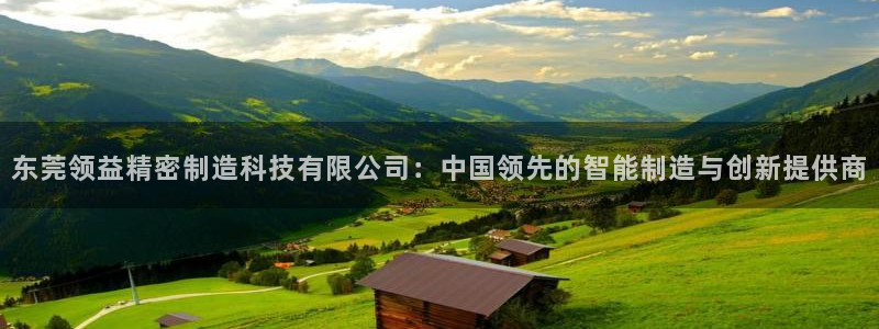 彩神8官网合法吗：东莞领益精密制造科技有限公司：中国领先的智能制造与创新提供商