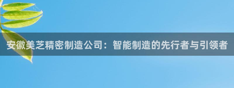 彩神V集团有限公司：安徽美芝精密制造公司：智能制造的先行者与引领者
