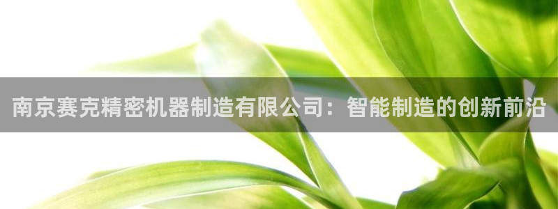 彩神v网赌软件下载：南京赛克精密机器制造有限公司：智能制造的创新前沿