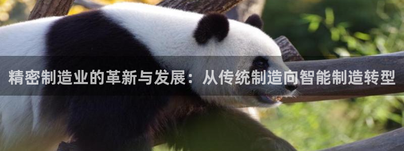 彩神是怎样一个平台：精密制造业的革新与发展：从传统制造向智能制造转型