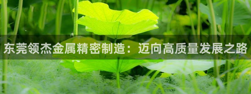 彩神v8iii：东莞领杰金属精密制造：迈向高质量发展之路