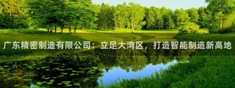 彩神x平台靠什么盈利：广东精密制造有限公司：立足大湾区，打造智能制造新高地