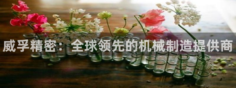 彩神购彩-购彩大厅入口