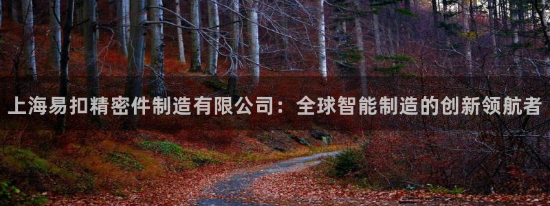 彩神是真的吗：上海易扣精密件制造有限公司：全球智能制造的创新领航者